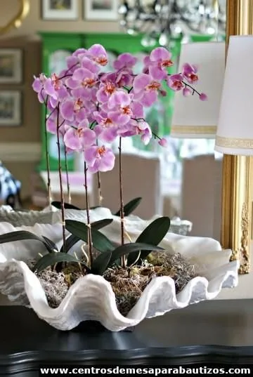 Centros de mesa con orquídeas naturales - Centros de Mesas
